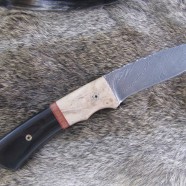 1012g
